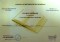 Diploma Club Proza 2011